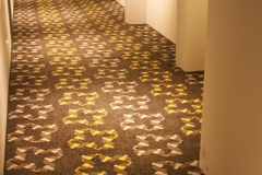 Artistic Flooring | Custom Carpet Design | Doomben Racecourse